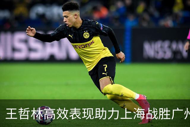 王哲林高效表现助力上海战胜广州